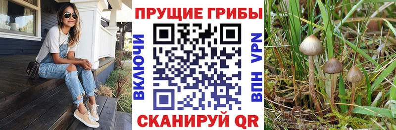 гидра ссылка  Свободный  Псилоцибиновые грибы мухоморы 